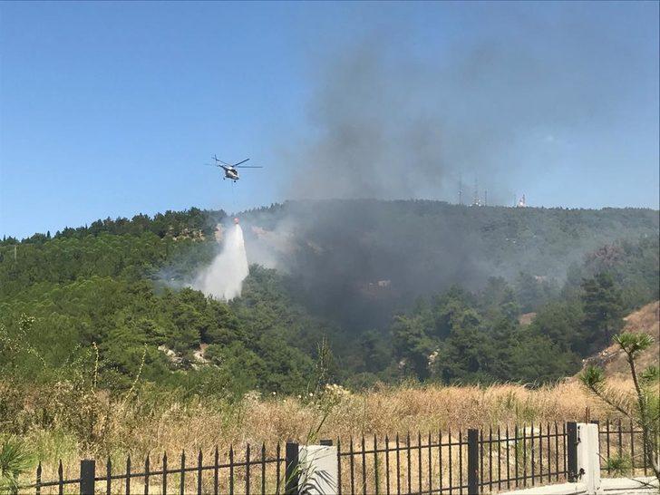 Çanakkale'deki orman yangını kısmen kontrol altında G3