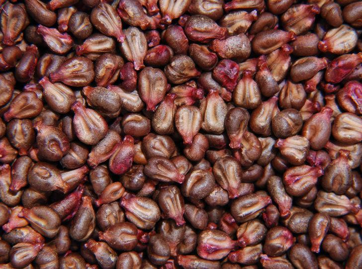 Sigarayı en hızlı şekilde bırakmanıza yardımcı olacak 5 besin G5