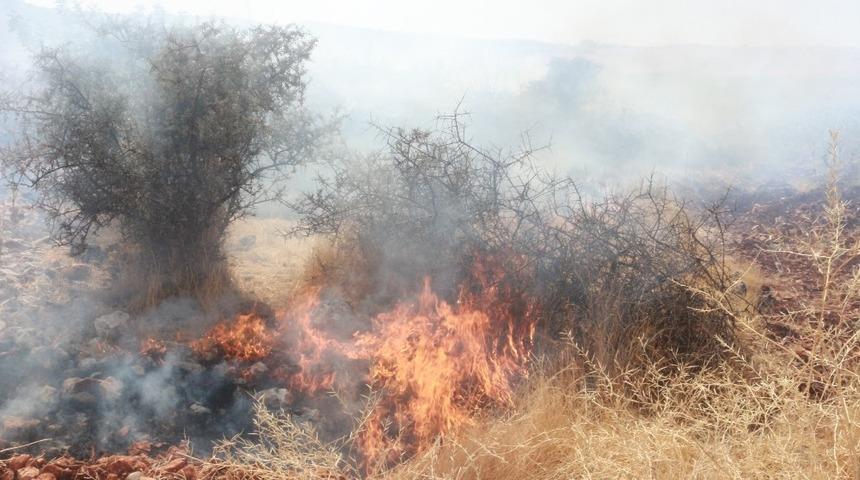 Adıyaman’da, orman yangını korkuttu