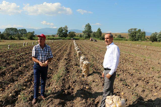 Bolu'da patates hasadı başladı