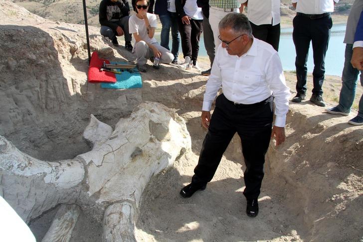 Kayseri'de 7,5 milyon yıllık dev fosil bulundu G2
