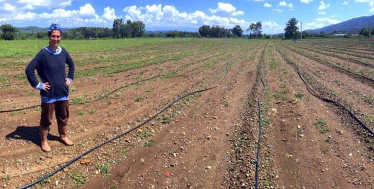 ODTÜ’lü Aslı Aksoy, Türkiye’nin 2. büyük kuşkonmaz üreticisi oldu G2