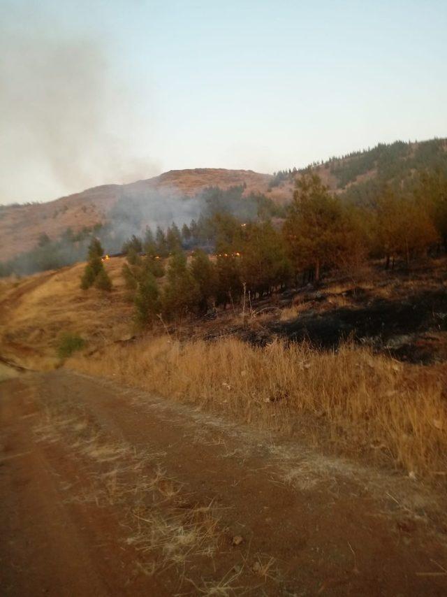 Gaziantep’te orman yangını