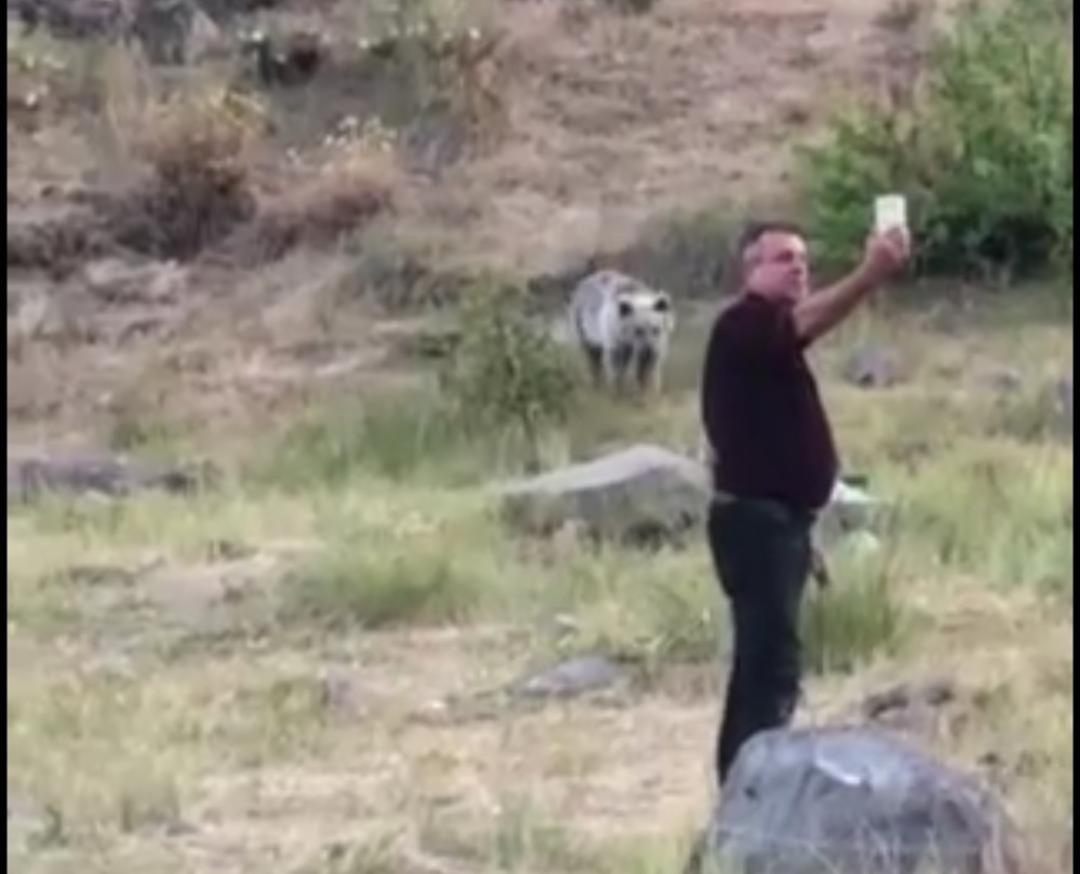 Karınları acıkan yavru ayıları kendi elleriyle beslediler