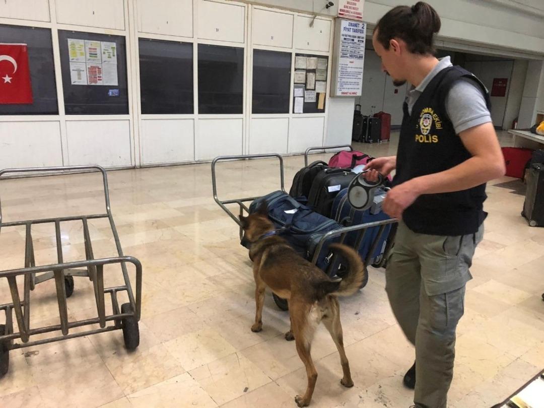 Dedekt&ouml;r k&ouml;pekler AŞTİ&rsquo;yi didik didik etti