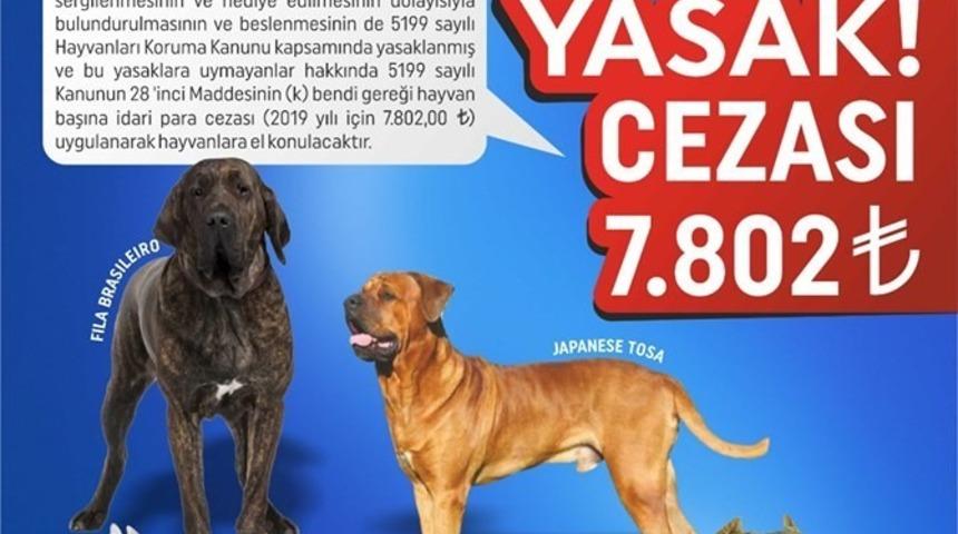 Van dkmp tehlikeli ve yasak olan köpek türlerini açıkladı