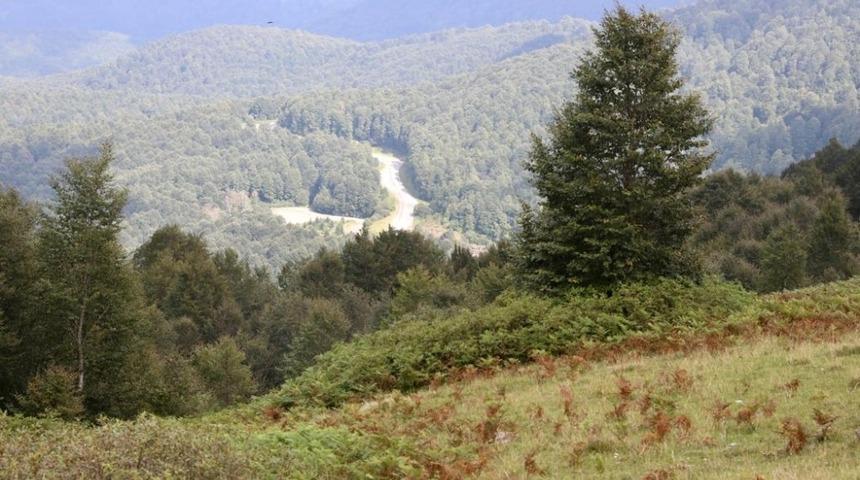 Akkuş&rsquo;a g&ouml;let m&uuml;jdesi