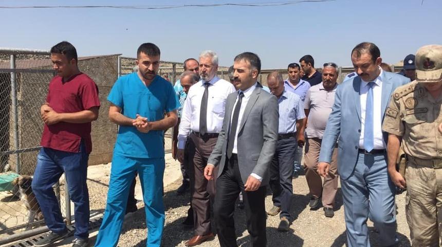 “Denetimli Serbestlik Temiz Çevre Projesi"  hayata geçti