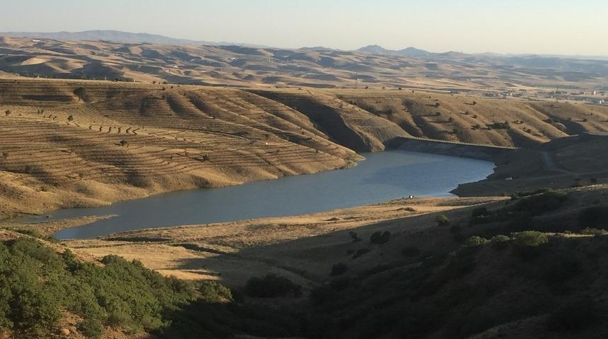 Yaşlı Ardı&ccedil; G&ouml;leti ormanla &ccedil;evrilecek