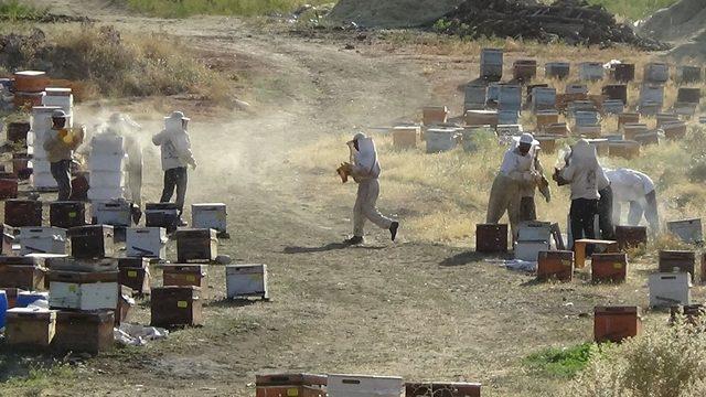 45 bin kovandan 700 ton bal bekleniyor