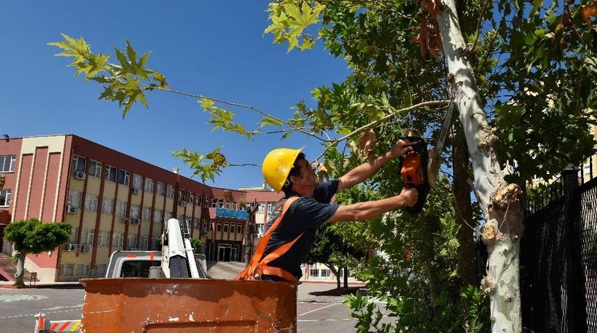 Muratpaşa&rsquo;dan okullarda peyzaj &ccedil;alışması