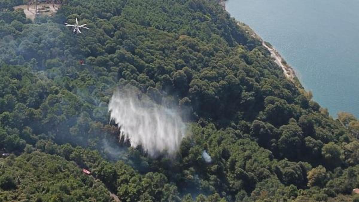 Anadolu Kavağı'nda yangın kontrol altında alındı