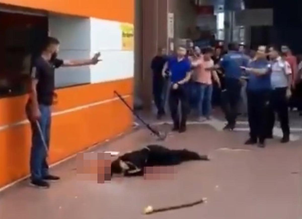 Kan davası dehşeti! &Ouml;ld&uuml;rd&uuml;kten sonra kimseyi yaklaştırmadılar