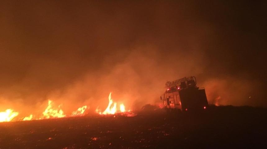 Avşa Adası’nda otluk alanda yangın