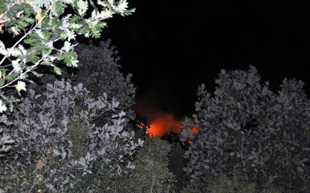 Malkara'da ormanlık alanda yangın: 200 dönümlük alan kül oldu