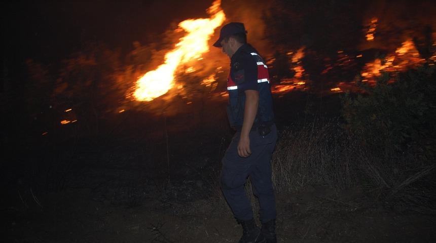 Tekirdağ'da orman yangını!