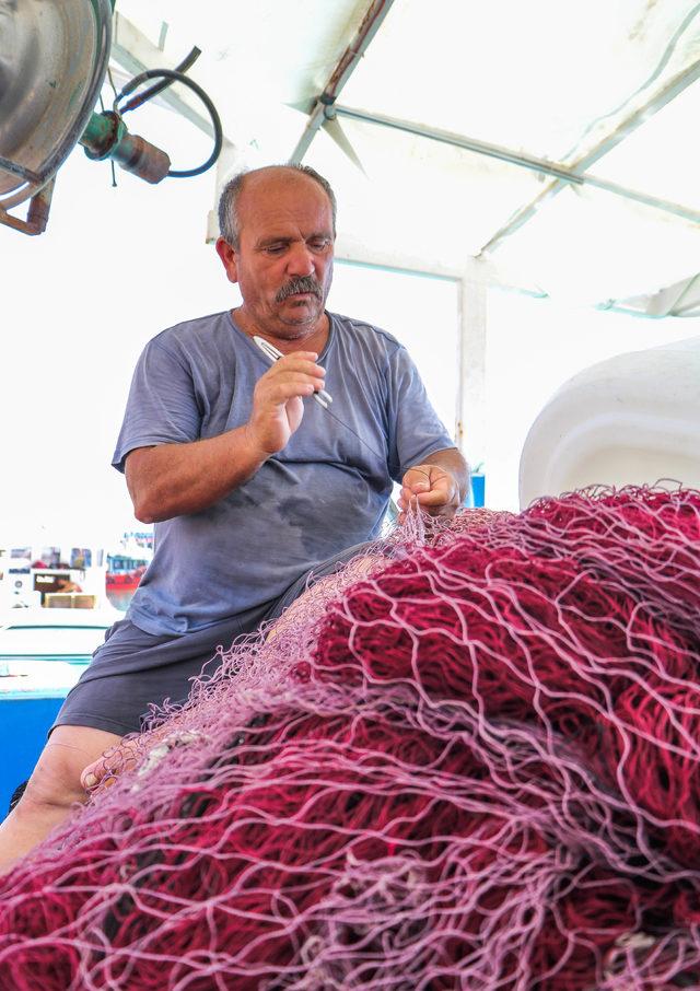'Balon balığı' balıkçıların kabusu oldu