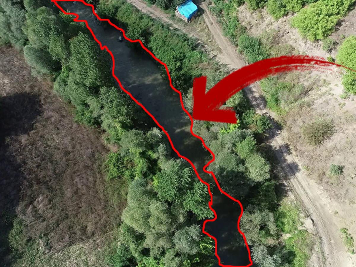 Samsun'da Tersakan &Ccedil;ayı g&ouml;renleri şaşkına &ccedil;eviriyor