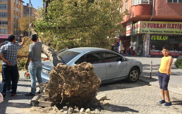 TIR'ın çarptığı ağaç, park halindeki otomobillerin üzerine devrildi