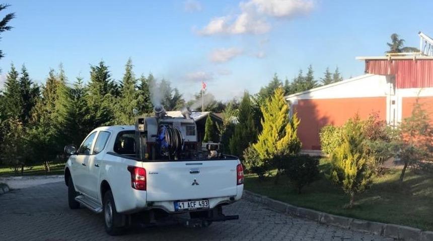 Körfez’de sinekle mücadele sürüyor