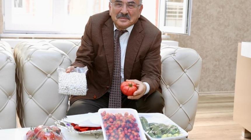 Akkuş fasulyesinin &uuml;retimi artacak