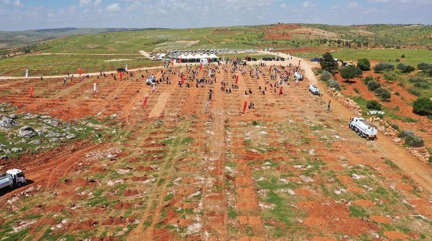 Arıl&rsquo;daki 84 bin 750 fidan gelecek nesiller i&ccedil;in b&uuml;y&uuml;t&uuml;l&uuml;yor