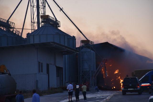 Kırklareli'de büyükbaş hayvanların bulunduğu çiftlikte yangın çıktı