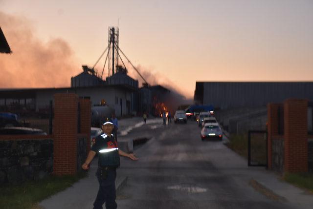 Kırklareli'de büyükbaş hayvanların bulunduğu çiftlikte yangın çıktı
