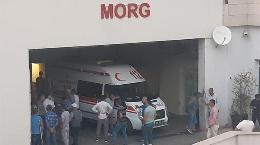 Üzüm toplarken yılan soktu! Kurtarılamadı