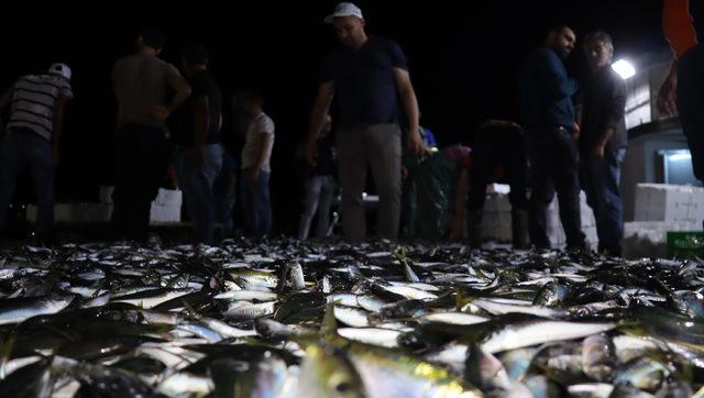 İstanbul'da balıkçılar sezonun ilk avından döndü