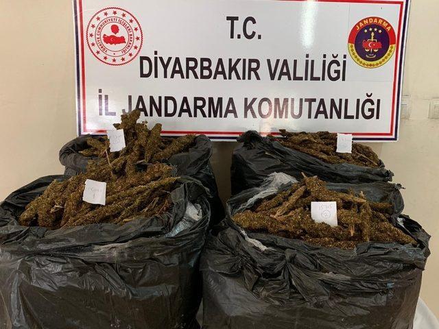 Diyarbakır’da 66 kilo esrar ele geçirildi