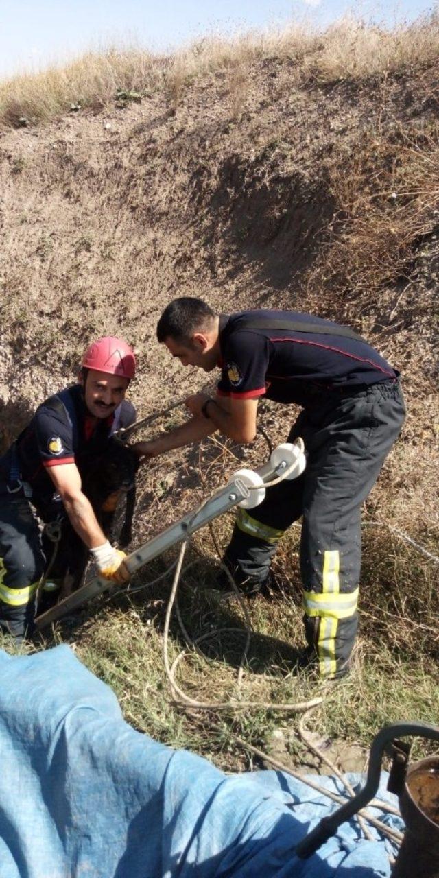 Kuyuya düşen köpeği itfaiye kurtardı