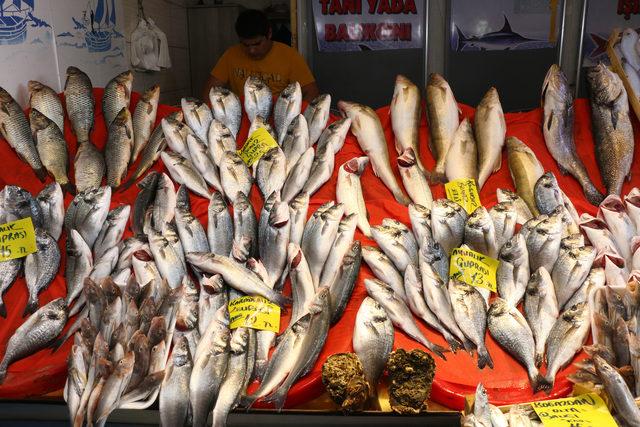 (Yeniden) -Av yasağı bitti İstanbul'da balık tezgahları şenlendi