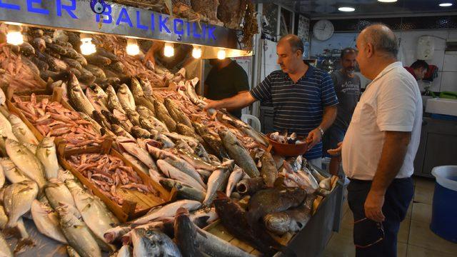 Av yasağı kalktı, fiyatlar bir gecede düştü