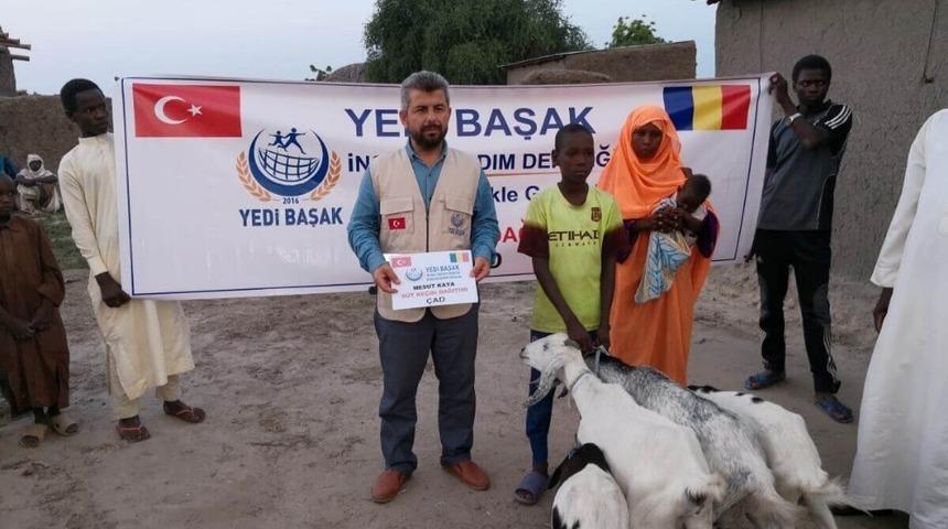 Yedi Başak İnsani Yardım Derneği&rsquo;nden Afrika&rsquo;da "S&uuml;t Ke&ccedil;isi Projesi"