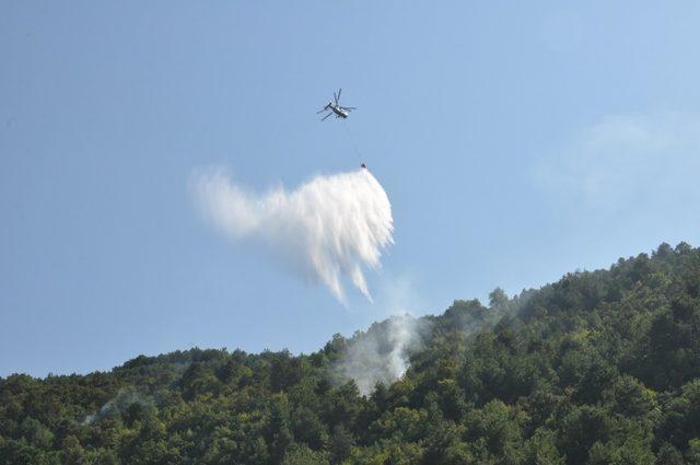 Sinop’ta şüpheli orman yangını