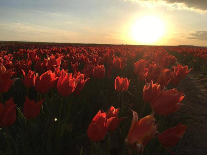 Topraktaki gökkuşağı büyülüyor G2