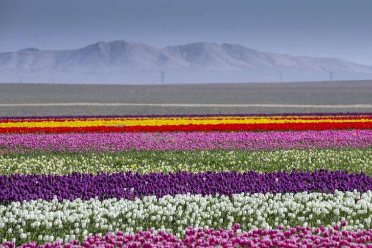 Topraktaki gökkuşağı büyülüyor G3