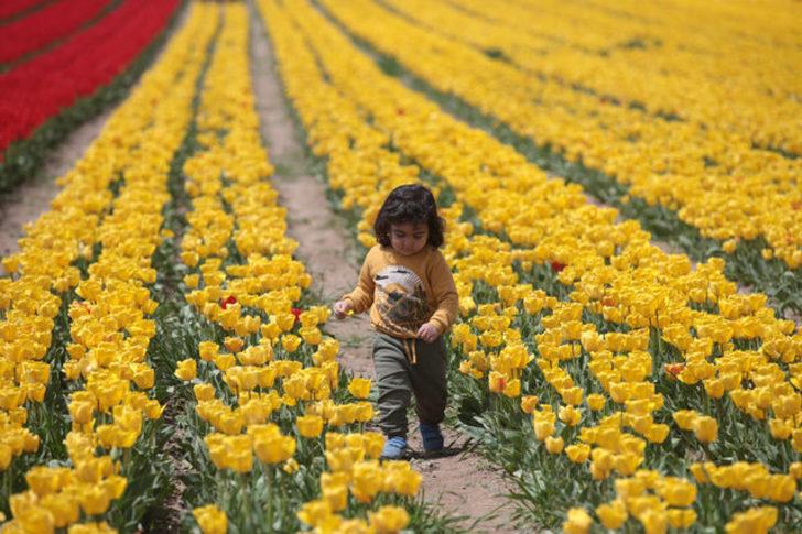 Topraktaki gökkuşağı büyülüyor G4