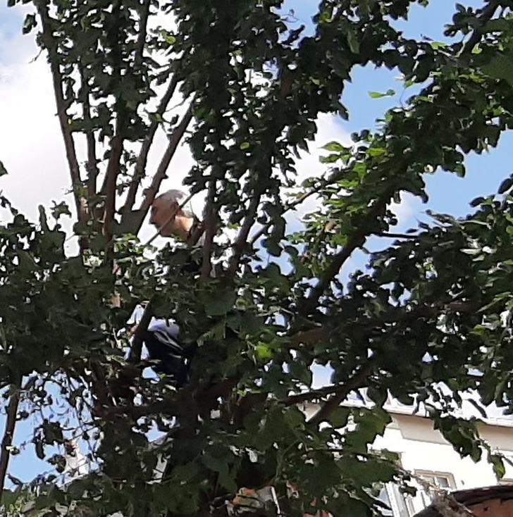 Tırtıllar yüzünden canından oluyordu G1