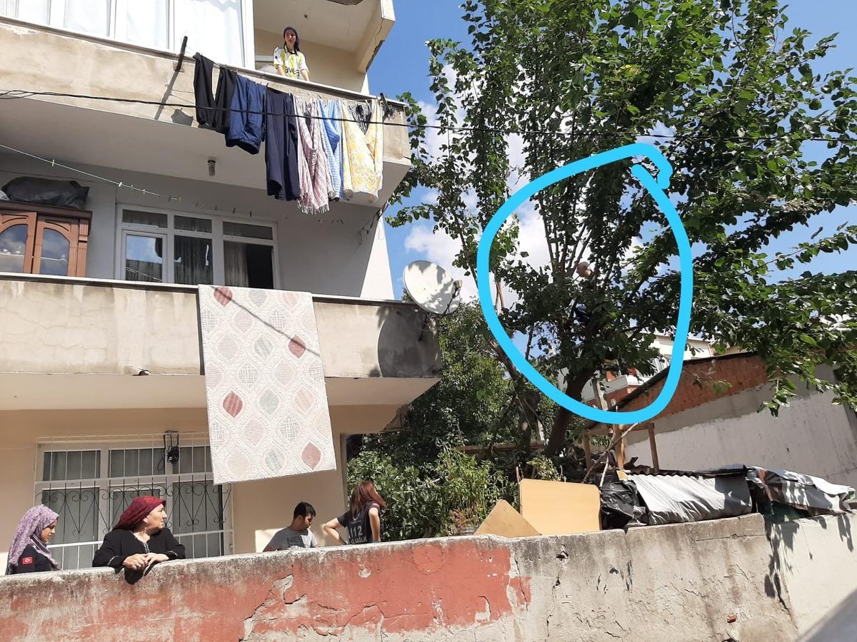 Tırtıllar y&uuml;z&uuml;nden canından oluyordu