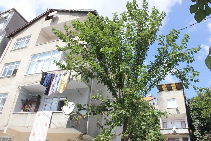 Tırtıllar yüzünden canından oluyordu G2