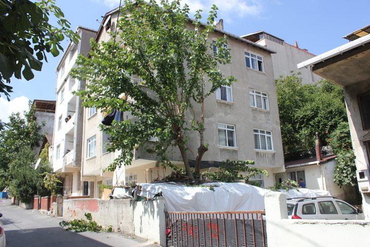 Tırtıllar yüzünden canından oluyordu G3