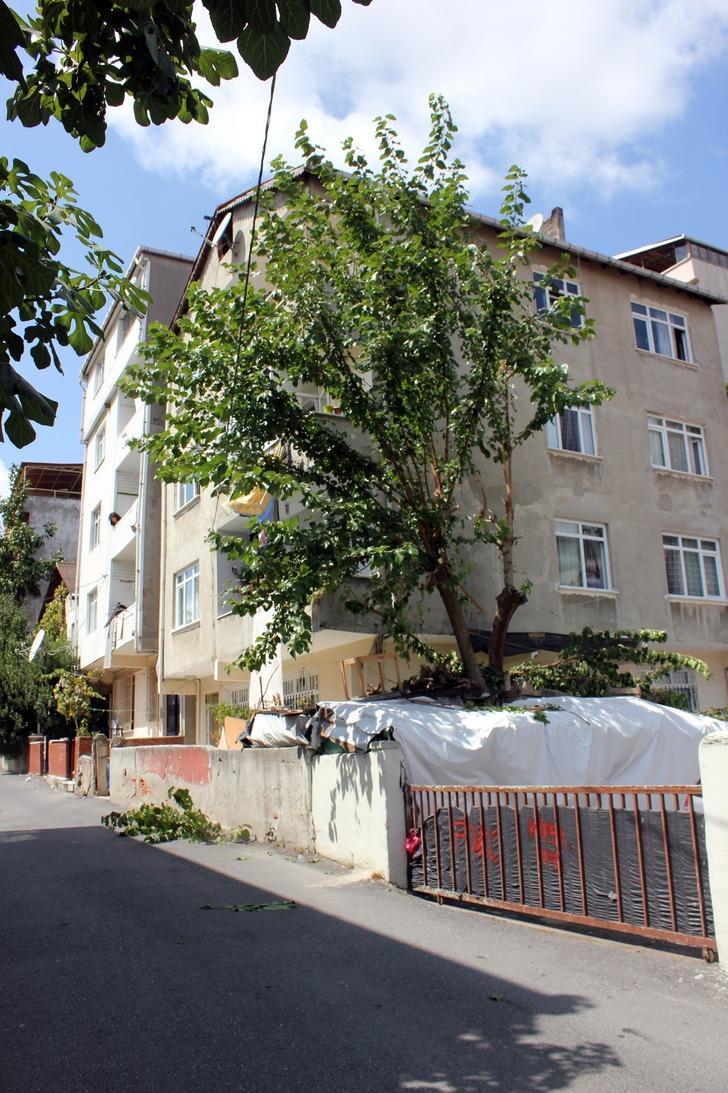 Tırtıllar yüzünden canından oluyordu G5