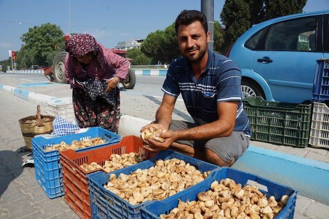 Kuru incir pazarda 40 TL’ye kadar alıcı buluyor