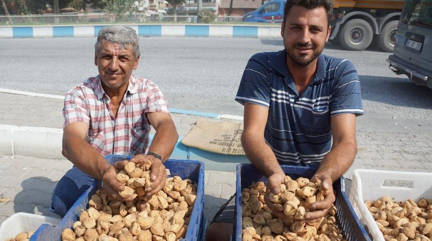 Kuru incir pazarda 40 TL&rsquo;ye kadar alıcı buluyor