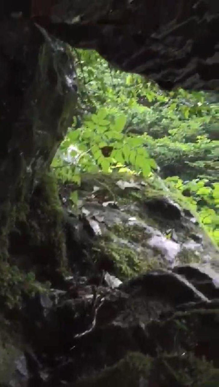 İşte Rize'de kaybolan 6 kişilik grubun 40 saat boyunca hayatta kalma mücadelesi G3