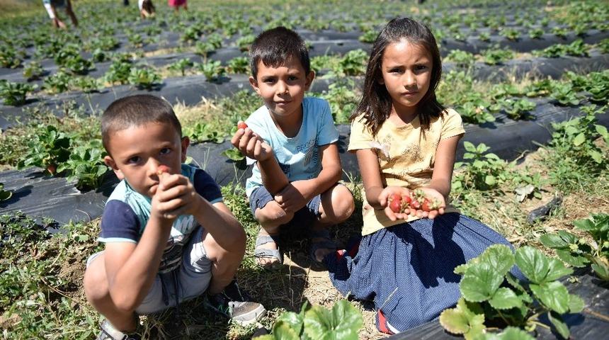 Adana&rsquo;da tarımı g&uuml;&ccedil;lendirme projeleri