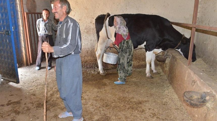 Mersin Orman B&ouml;lge M&uuml;d&uuml;rl&uuml;ğ&uuml;nden 129 aileye 3,5 milyon lira ORK&Ouml;Y kredisi