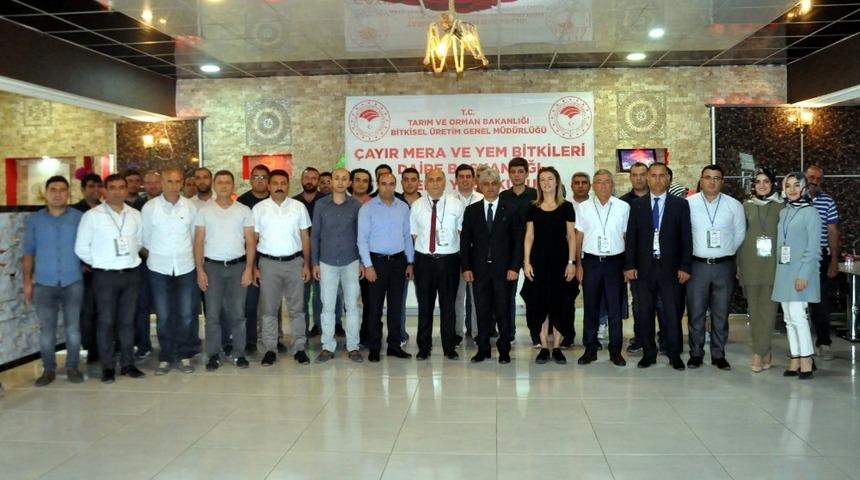 Bitlis&rsquo;te 9 ilin katılımıyla &ccedil;ayır mera ve yem bitkileri yaz okulu eğitim programı başladı